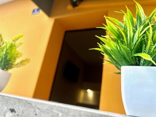 Residence Zar 8 Triest Exterior foto